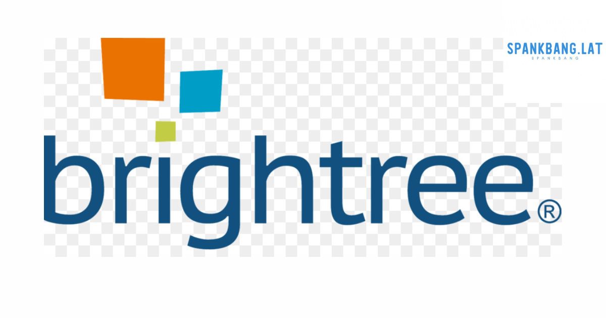 Brightree: Exploring Its Features and Benefits for Healthcare Providers